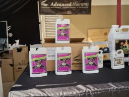 Cannabliss Events